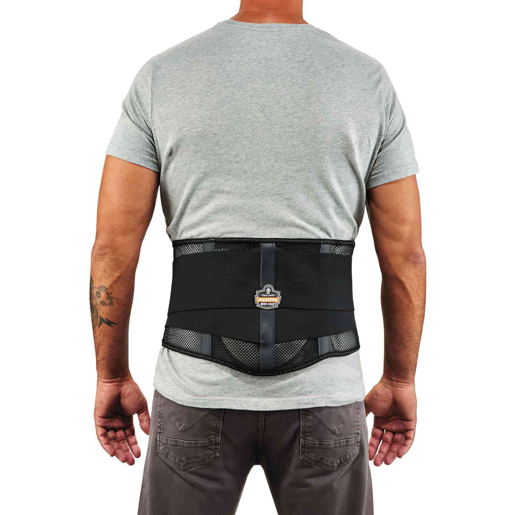 Mesh Back Support w/Lumbar Pad - Back Supports